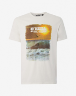 O'neill ανδρική μπλούζα κοντομάνικη 0A2390-1030 POWDER