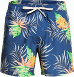 Quik Silver ανδρικό μαγιό EQYJV03705-BPZ6 μπλε