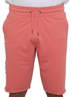 Russell ανδρική βερμούδα A3-061-1 PC-380 sugar coral