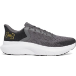 Under Armour Charged Rogue 5 3028256-025 GREY/BLACK