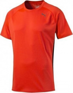 Puma SS Running TEE 513823-02