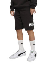 Puma Logo Shorts 684918-01 BLACK