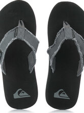 Quiksilver Monkey Abyss Ανδρικές Σαγιονάρες AQYL100047-XSKC Γκρι 